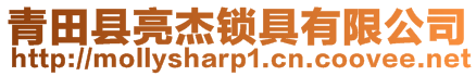 青田縣亮杰鎖具有限公司