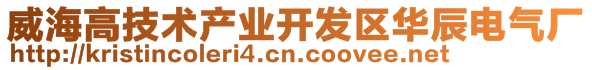 威海高技术产业开发区华辰电气厂