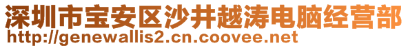 深圳市寶安區(qū)沙井越濤電腦經(jīng)營(yíng)部