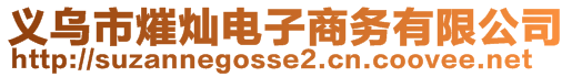 義烏市熣燦電子商務有限公司