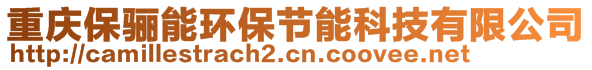 重慶保驪能環(huán)保節(jié)能科技有限公司