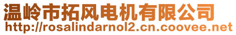 溫嶺市拓風電機有限公司