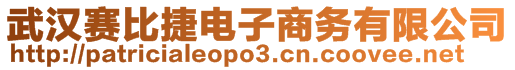 武漢賽比捷電子商務(wù)有限公司