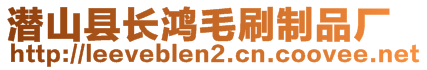 潜山县长鸿毛刷制品厂