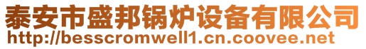 泰安市盛邦鍋爐設(shè)備有限公司