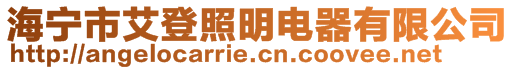 海宁市艾登照明电器有限公司