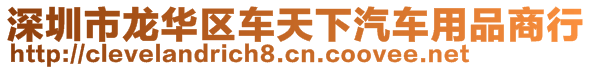 深圳市龍華區(qū)車天下汽車用品商行