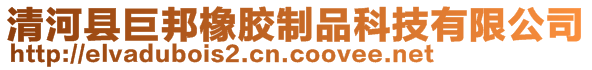 清河县巨邦橡胶制品科技有限公司