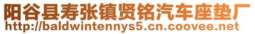 陽谷縣壽張鎮賢銘汽車座墊廠