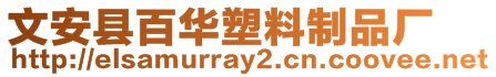 文安縣百華塑料制品廠
