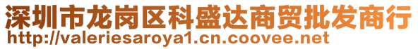 深圳市龍崗區(qū)科盛達(dá)商貿(mào)批發(fā)商行