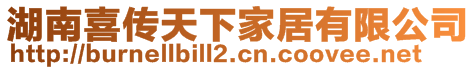 湖南喜傳天下家居有限公司