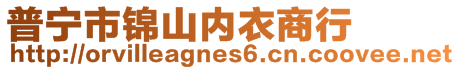 普寧市錦山內(nèi)衣商行