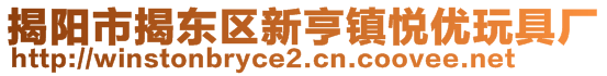 揭陽市揭東區新亨鎮悅優玩具廠