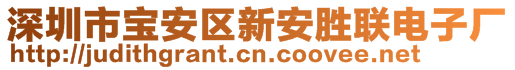 深圳市寶安區(qū)新安勝聯(lián)電子廠