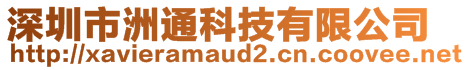 深圳市洲通科技有限公司