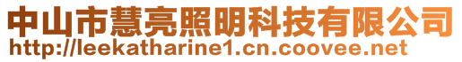 中山市慧亮照明科技有限公司