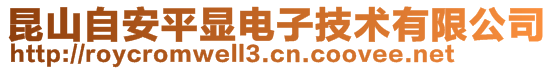 昆山自安平显电子技术有限公司