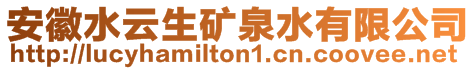 安徽水云生礦泉水有限公司