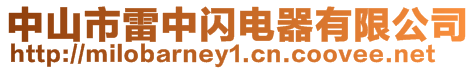中山市雷中閃電器有限公司