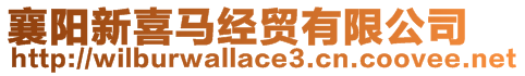 襄陽新喜馬經貿有限公司