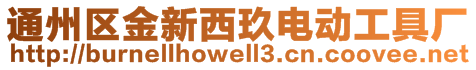通州區金新西玖電動工具廠