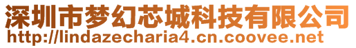 深圳市夢幻芯城科技有限公司