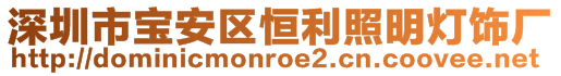 深圳市宝安区恒利照明灯饰厂