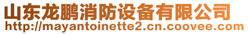 山東龍鵬消防設(shè)備有限公司