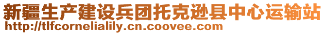 新疆生產(chǎn)建設兵團托克遜縣中心運輸站