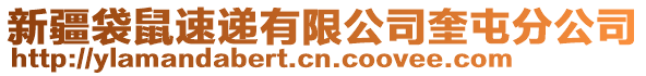 新疆袋鼠速遞有限公司奎屯分公司