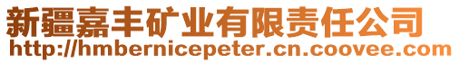 新疆嘉豐礦業(yè)有限責任公司