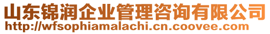 山東錦潤企業(yè)管理咨詢有限公司