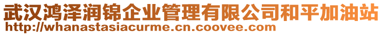 武漢鴻澤潤(rùn)錦企業(yè)管理有限公司和平加油站