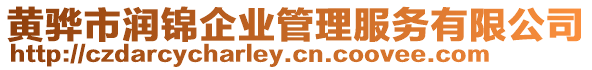 黃驊市潤(rùn)錦企業(yè)管理服務(wù)有限公司