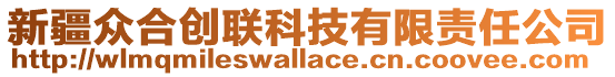 新疆眾合創(chuàng)聯(lián)科技有限責任公司