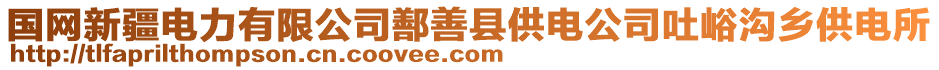 國(guó)網(wǎng)新疆電力有限公司鄯善縣供電公司吐峪溝鄉(xiāng)供電所