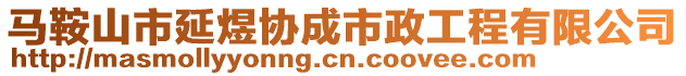 馬鞍山市延煜協(xié)成市政工程有限公司