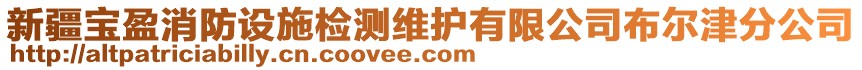 新疆寶盈消防設(shè)施檢測維護有限公司布爾津分公司