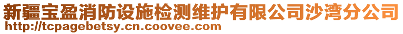 新疆寶盈消防設施檢測維護有限公司沙灣分公司