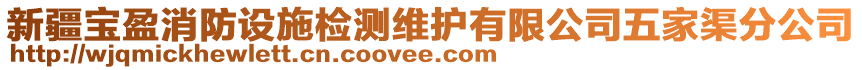 新疆寶盈消防設(shè)施檢測維護(hù)有限公司五家渠分公司