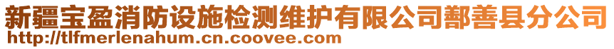 新疆寶盈消防設(shè)施檢測維護有限公司鄯善縣分公司