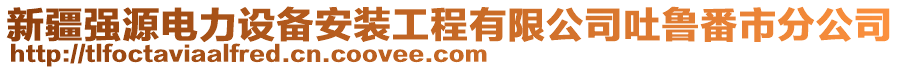 新疆強源電力設(shè)備安裝工程有限公司吐魯番市分公司