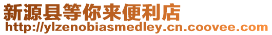 新源縣等你來便利店