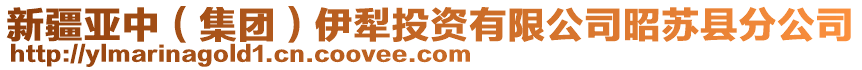 新疆亞中（集團）伊犁投資有限公司昭蘇縣分公司