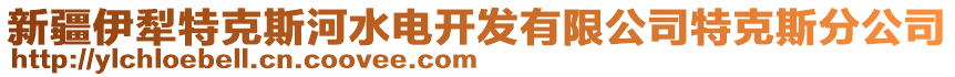 新疆伊犁特克斯河水电开发有限公司特克斯分公司