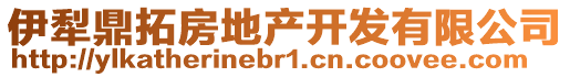 伊犁鼎拓房地產(chǎn)開(kāi)發(fā)有限公司