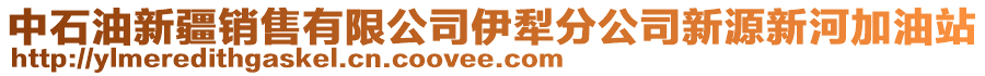 中石油新疆銷售有限公司伊犁分公司新源新河加油站