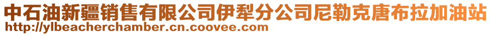 中石油新疆銷售有限公司伊犁分公司尼勒克唐布拉加油站