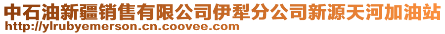 中石油新疆销售有限公司伊犁分公司新源天河加油站